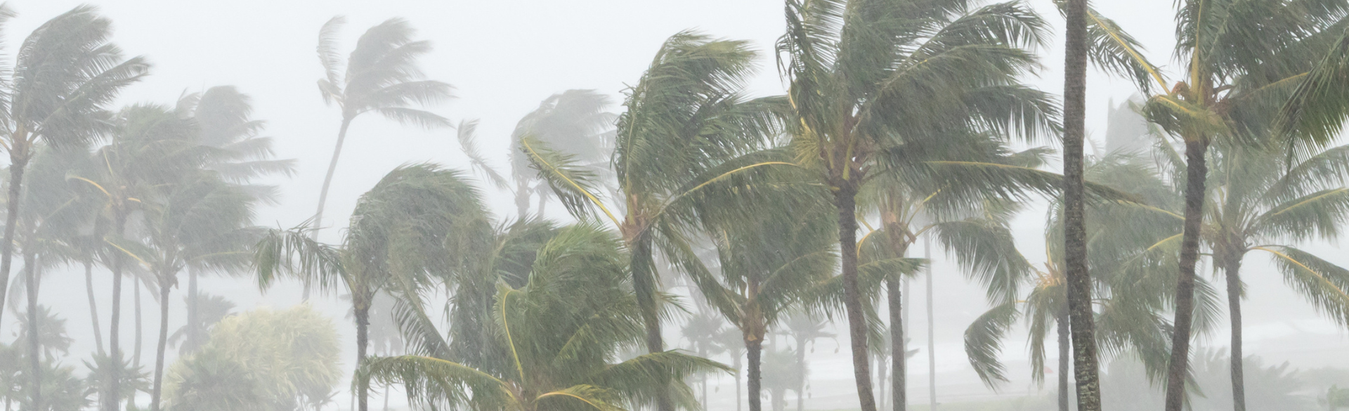 What are Potential Human Health Impacts of Hurricane Ian's Massive